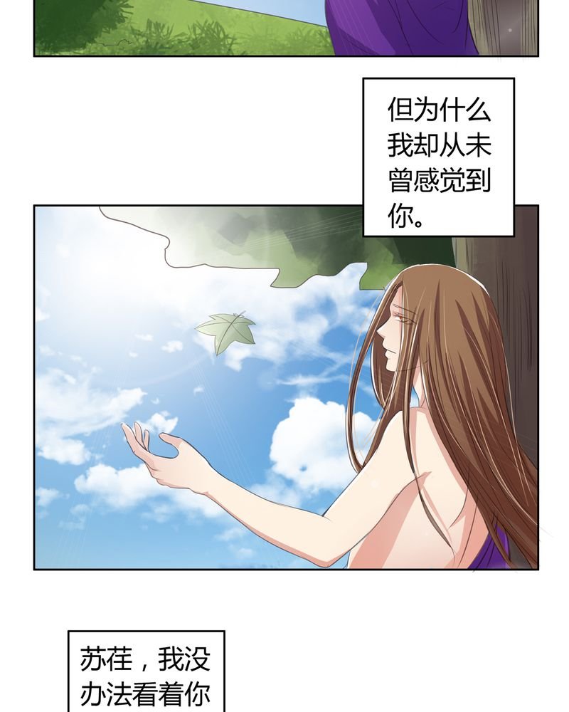 第15章：命运悲歌