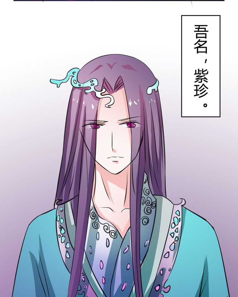 第15章：命运悲歌