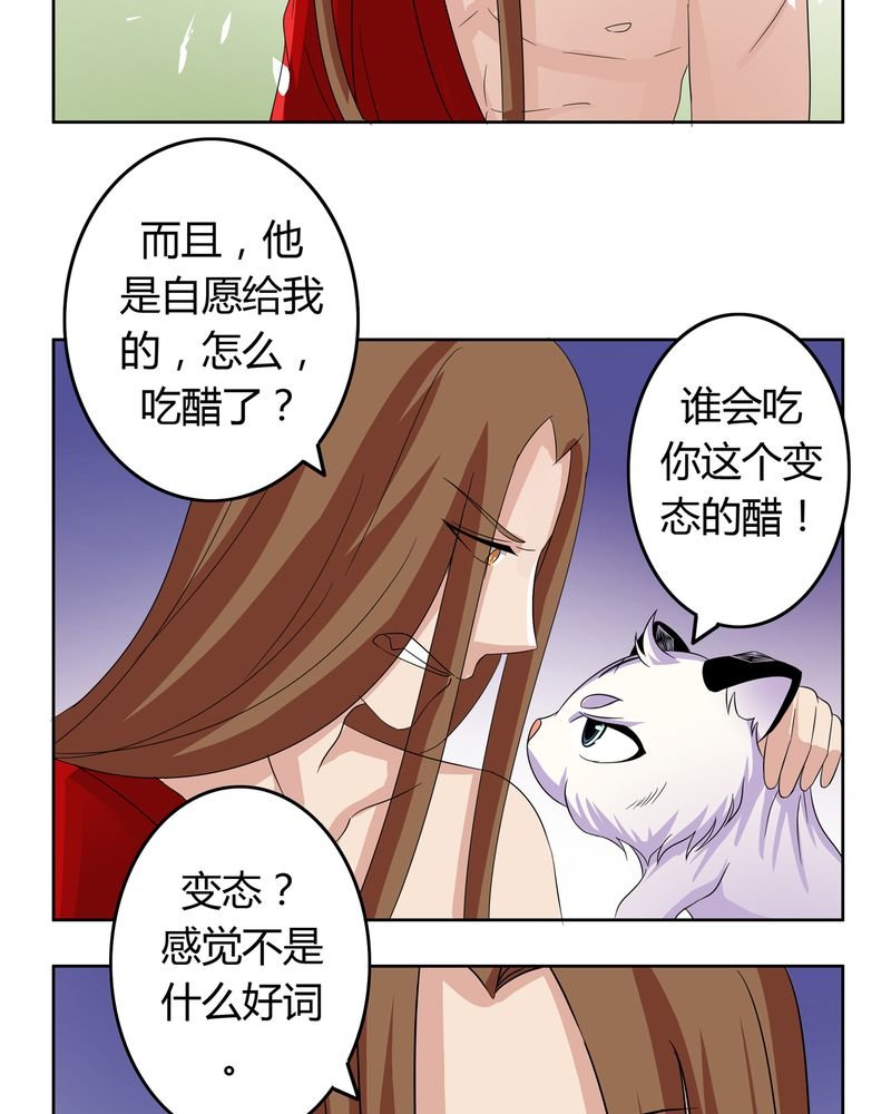 第17章：投票开始