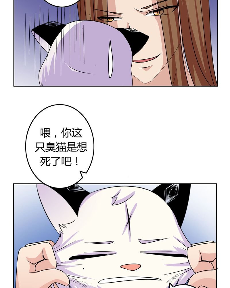 第17章：投票开始