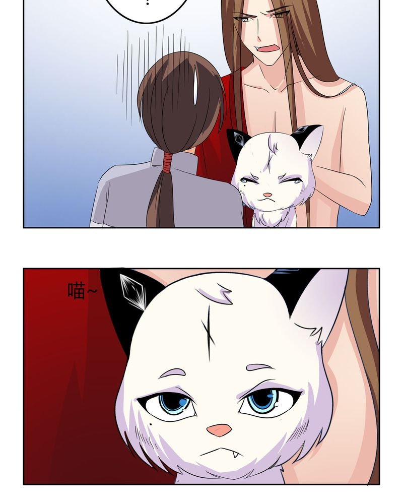 第17章：投票开始