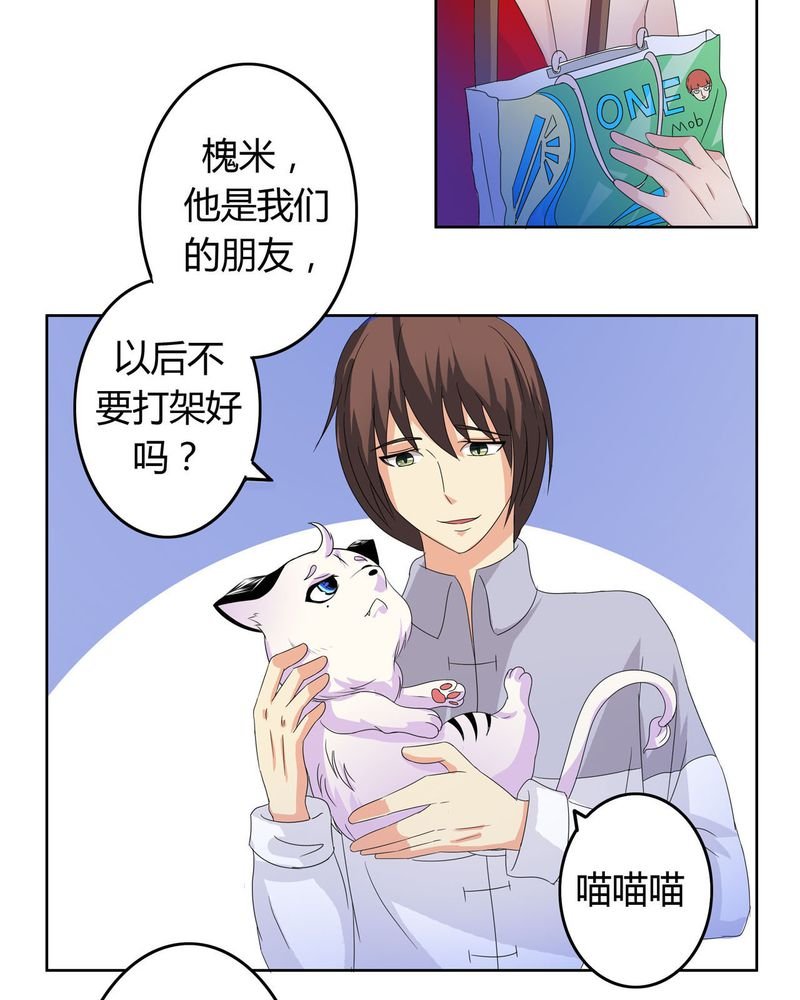 第17章：投票开始