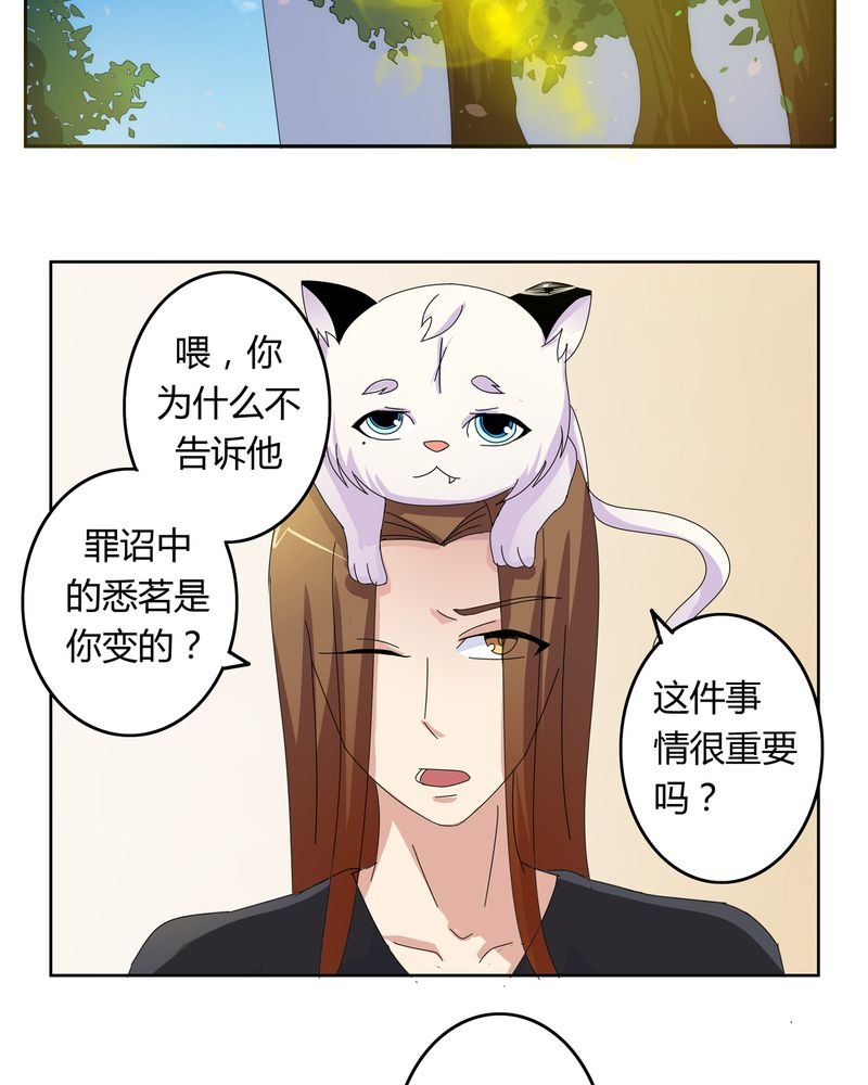 第19章：新的挑战