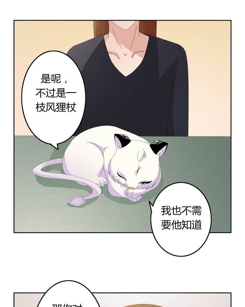 第19章：新的挑战