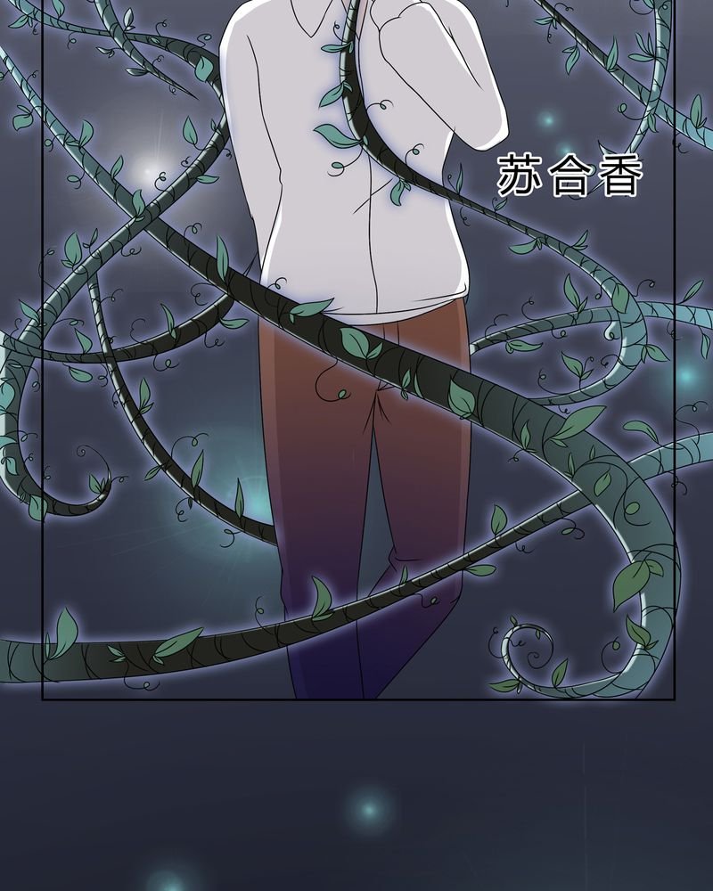 第25章：回忆之魇