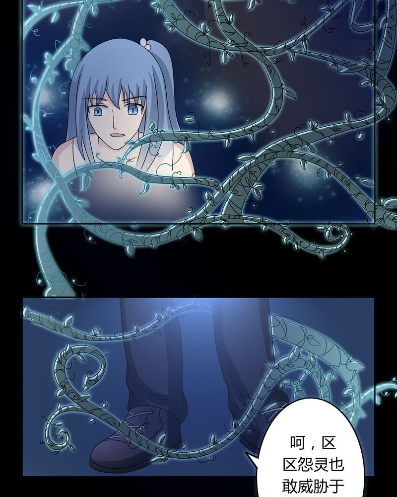 第26章：人面鬼花