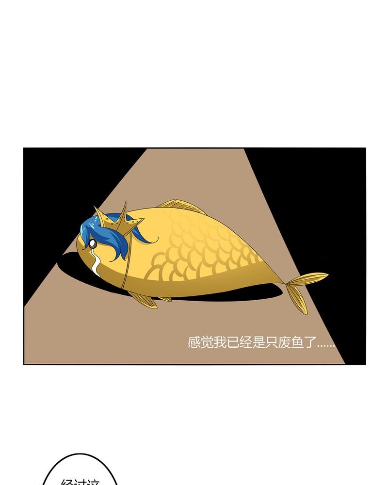 第43章：初步协议