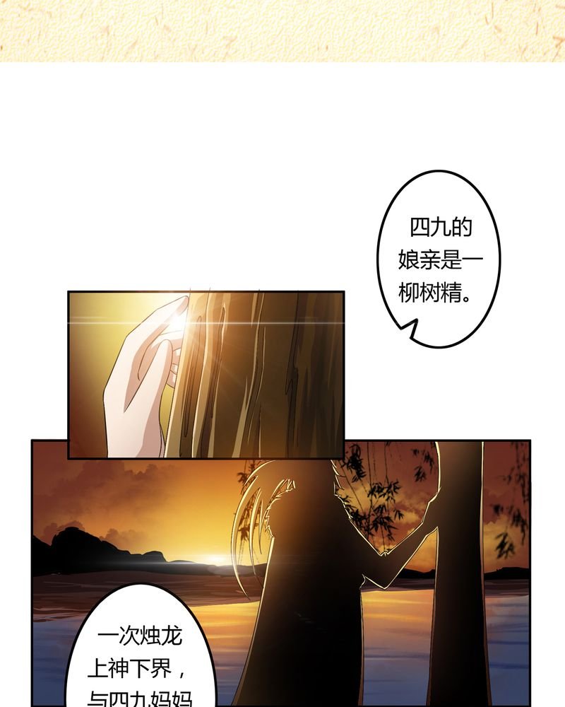 第45章：驯服四九