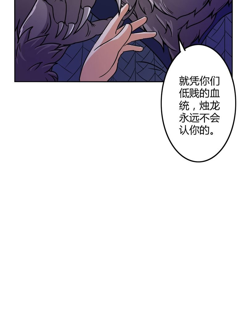 第45章：驯服四九