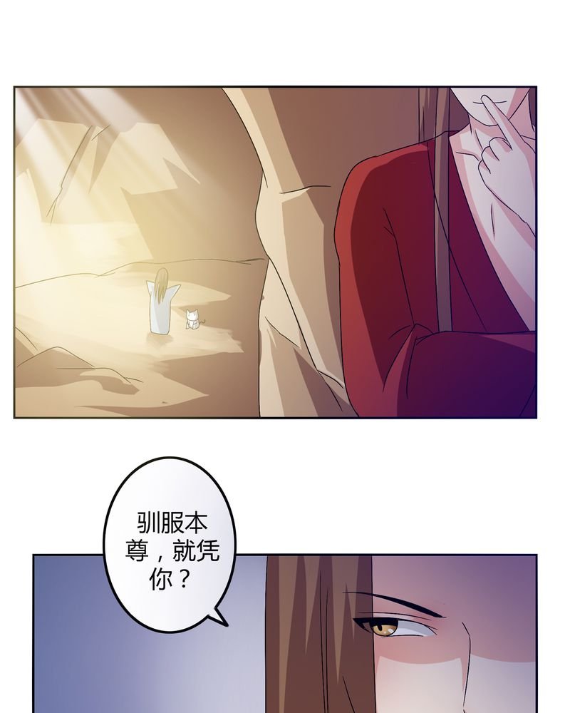 第45章：驯服四九