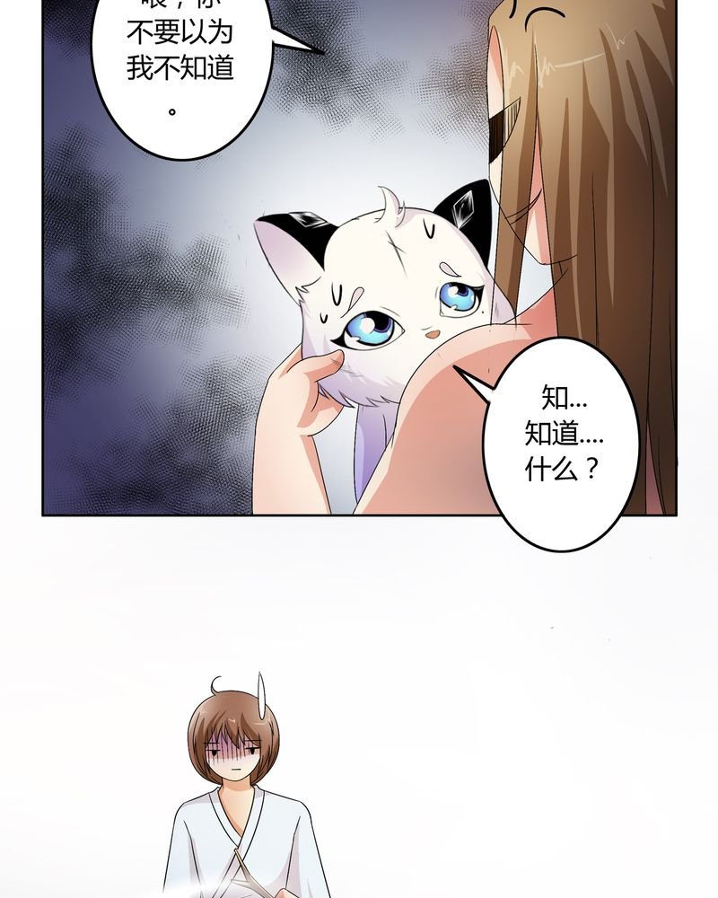 第49章：宠妻狂魔