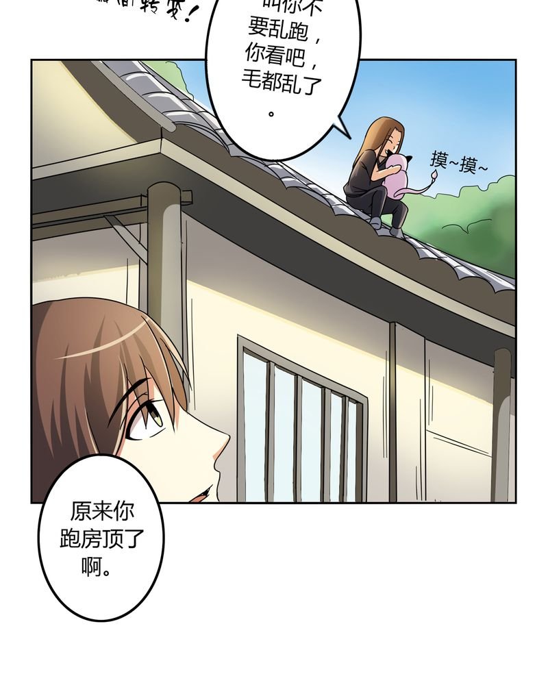 第55章：消失的灵力