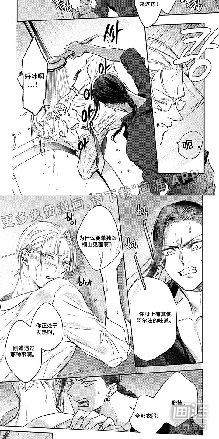 第11章：试一试吧