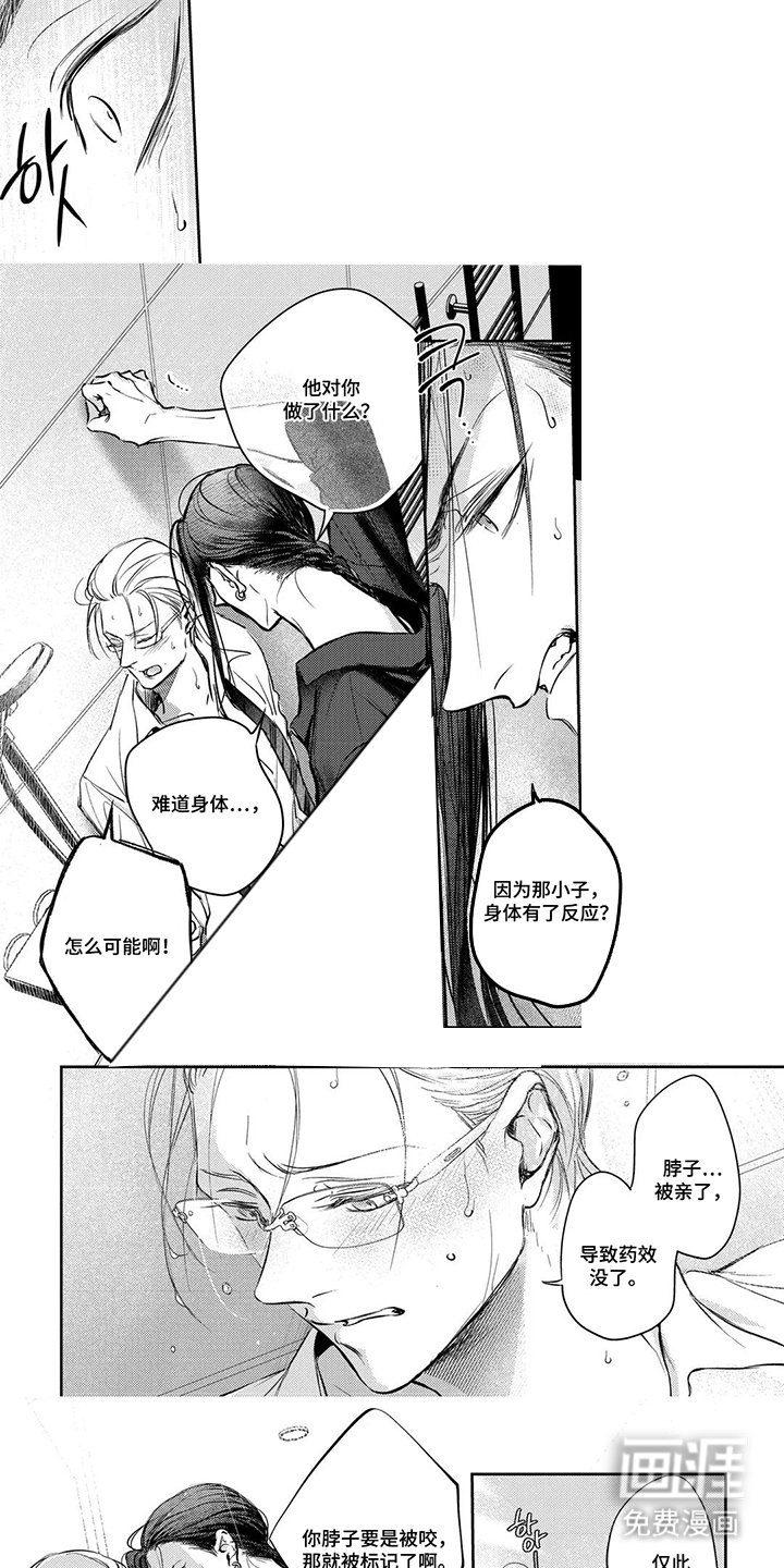 第11章：试一试吧