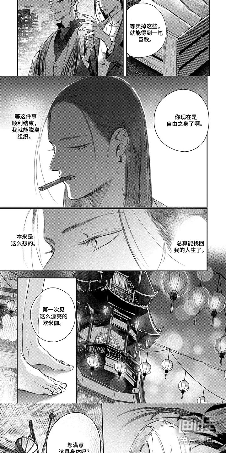 第16章：人生