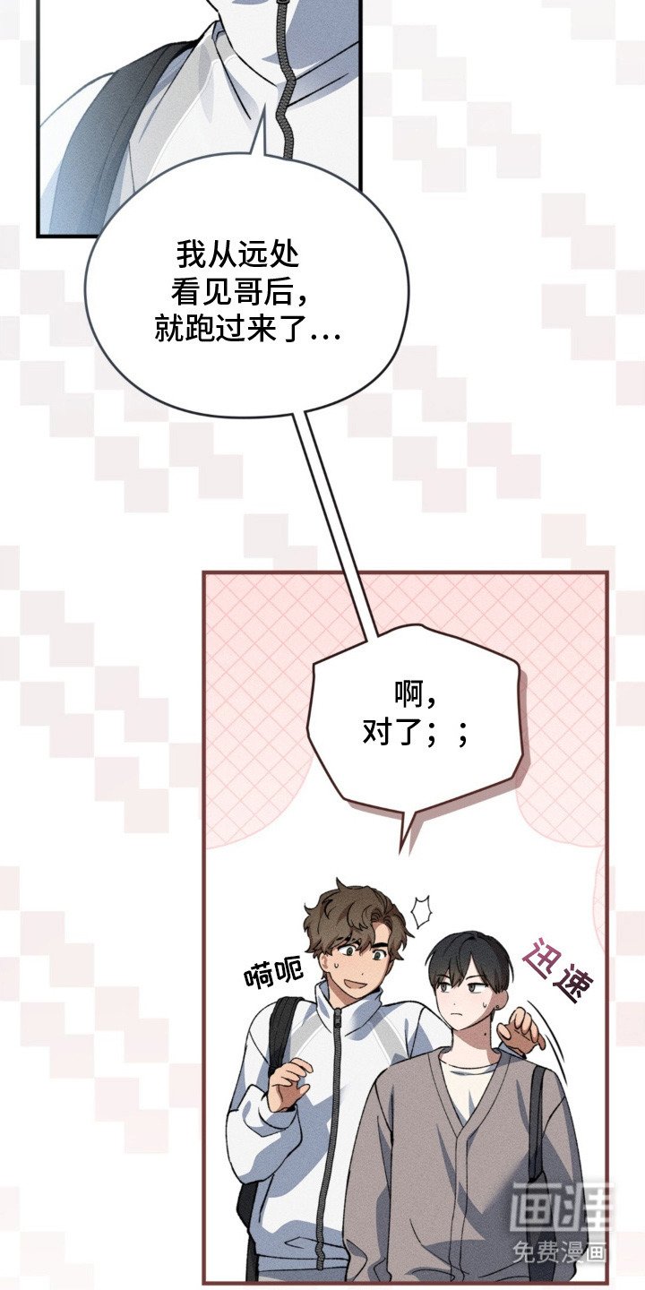 第12章：狗狗一样