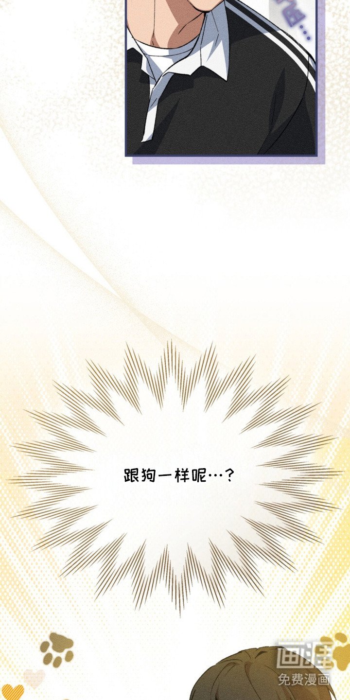 第12章：狗狗一样