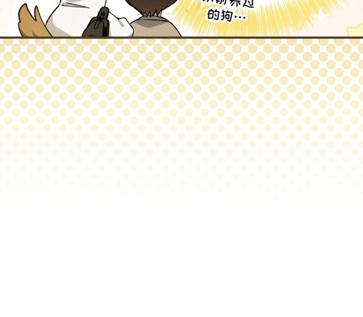 第12章：狗狗一样