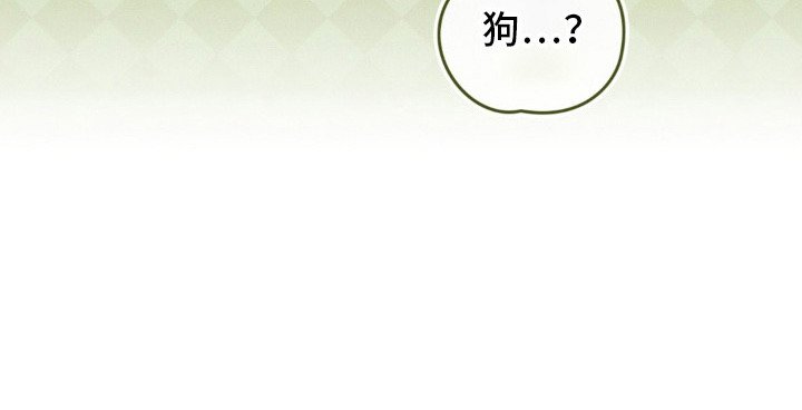 第13章：摸头