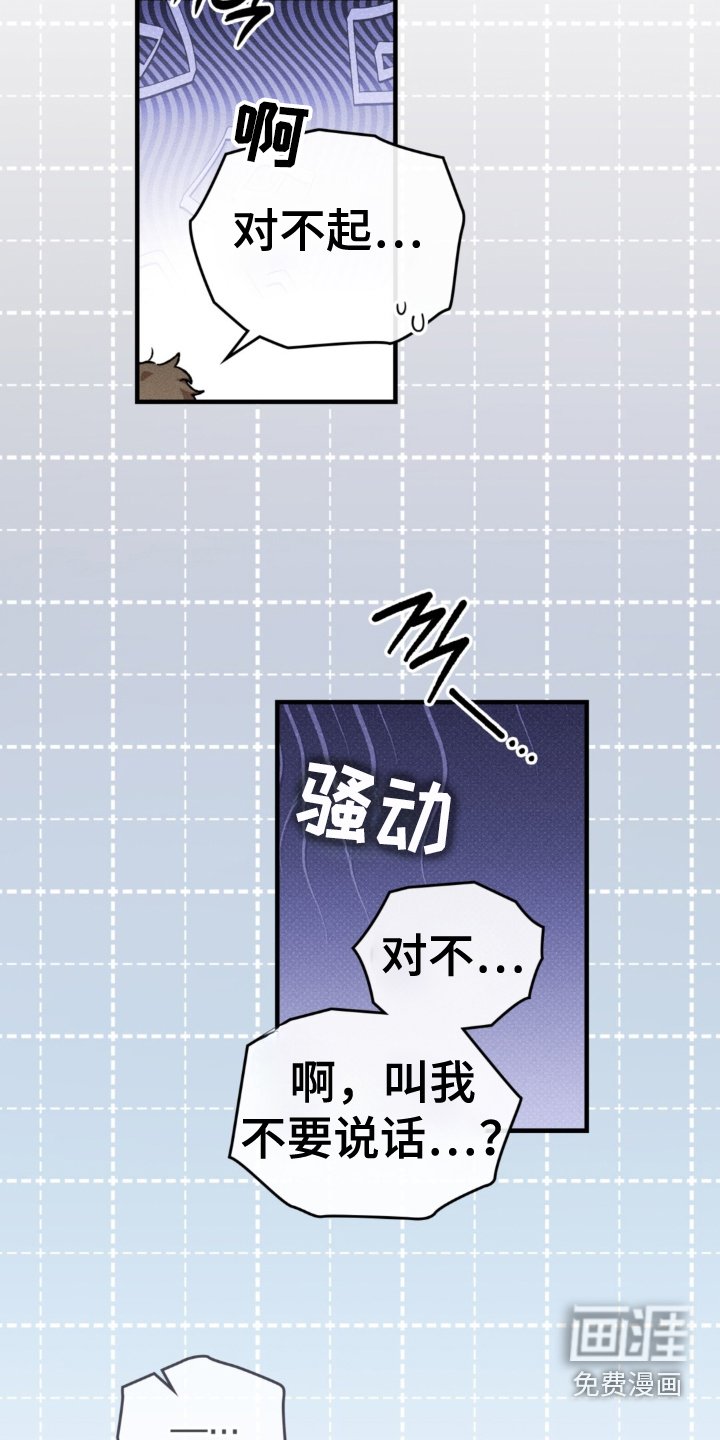 第17章：寻找