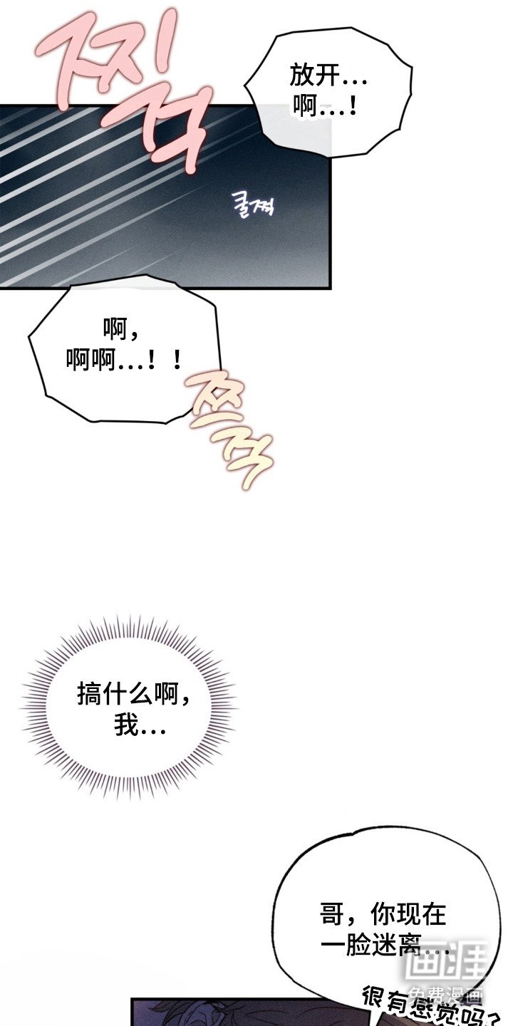 第20章：正式开始