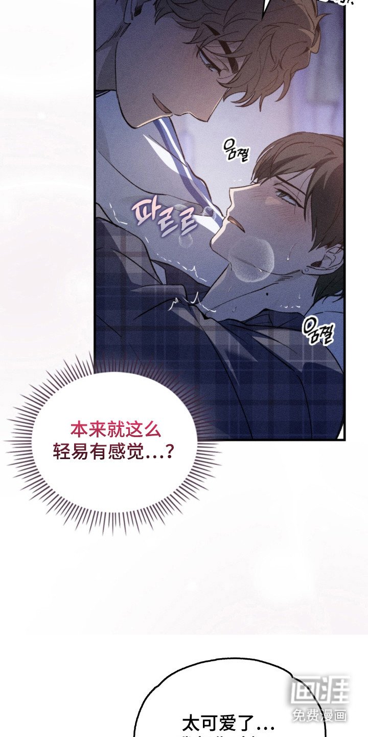 第20章：正式开始
