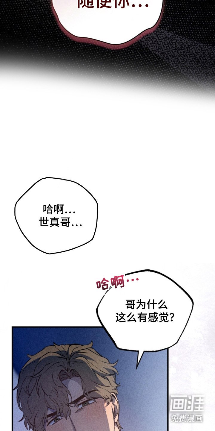 第20章：正式开始