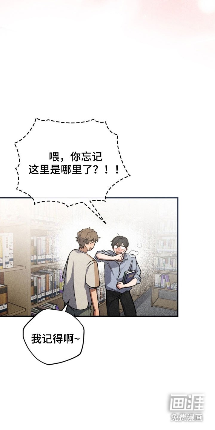 第29章：悄悄事