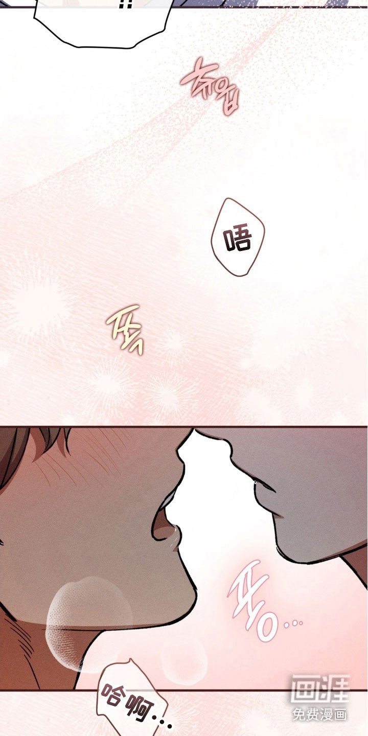 第32章：照片