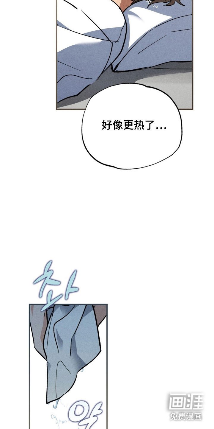 第32章：照片