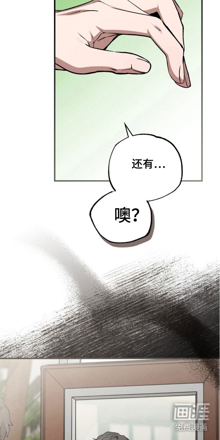 第32章：照片