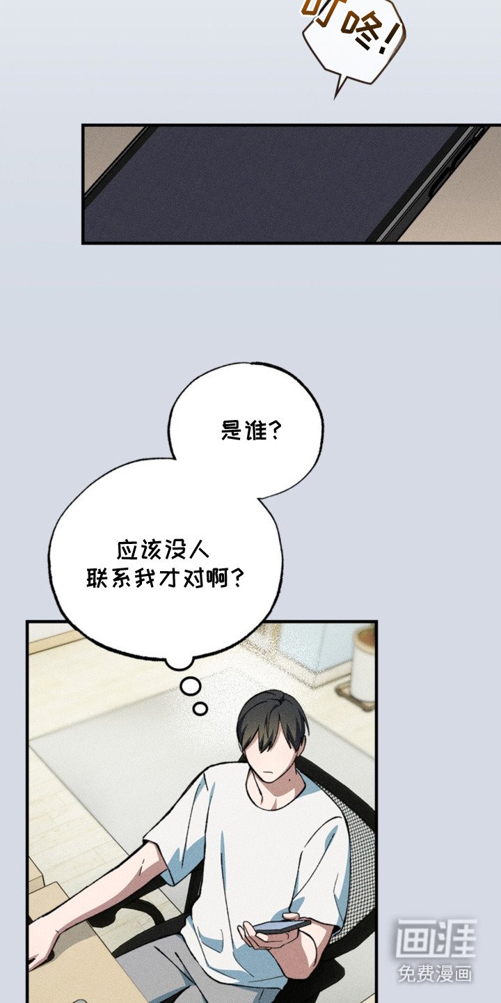 第4章：多样化
