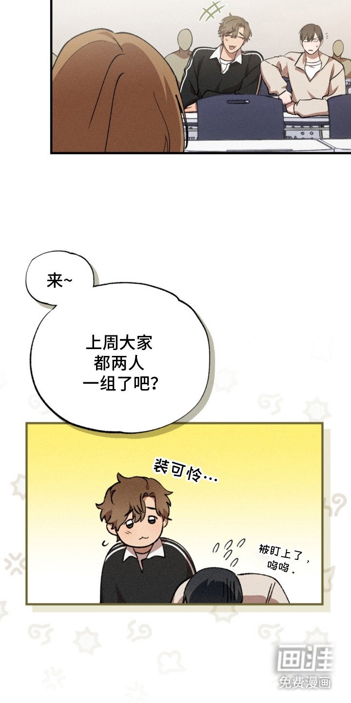 第4章：多样化
