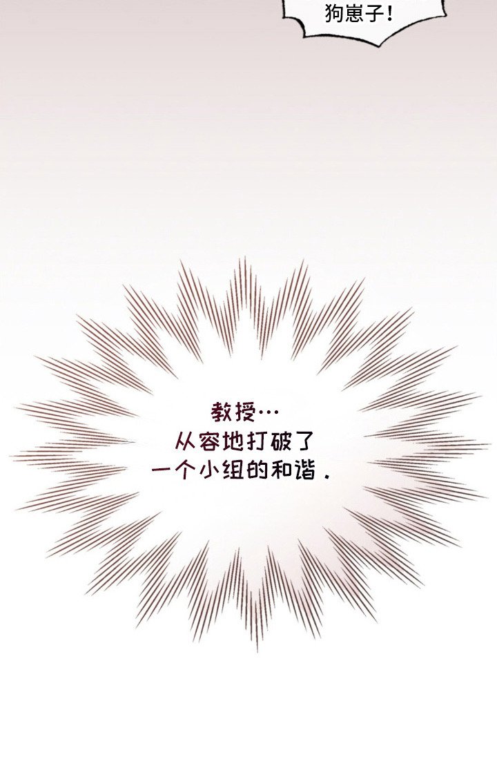 第4章：多样化