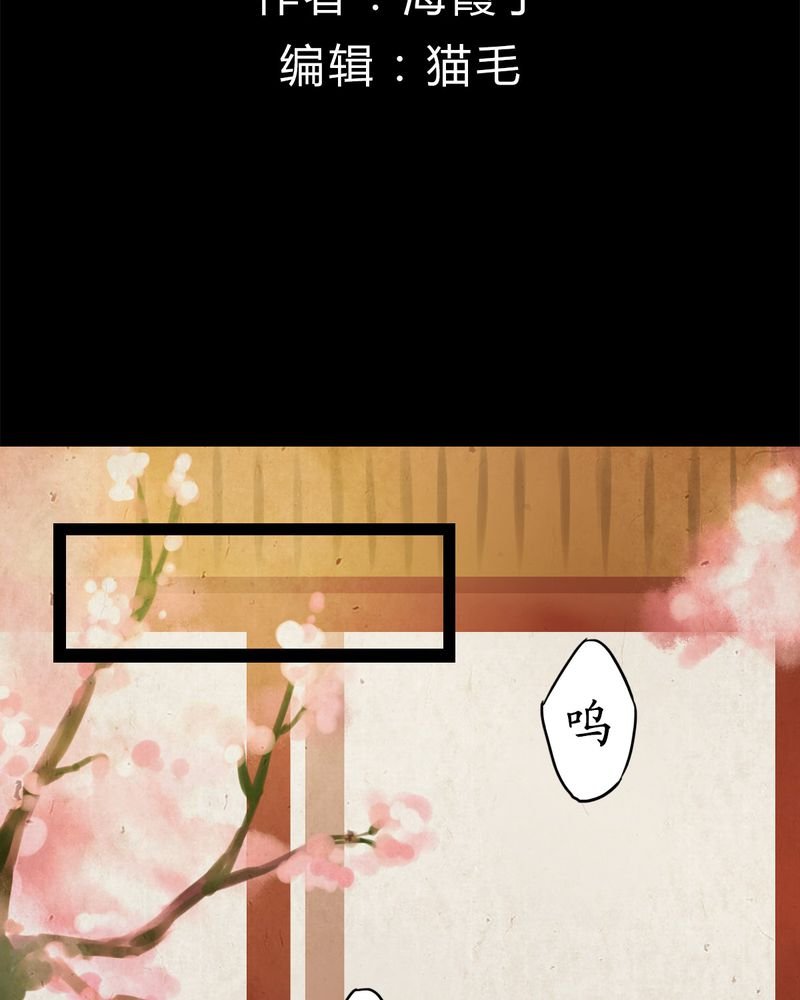 第13章：