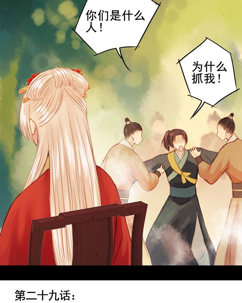 第29章：