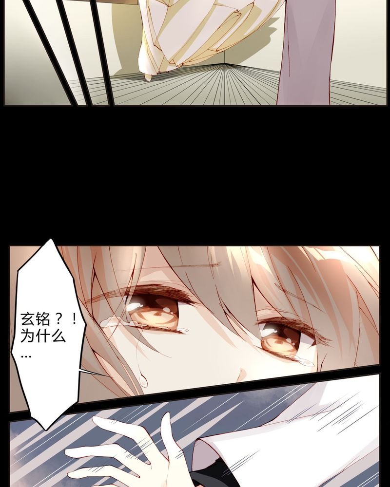 第22章： 回国