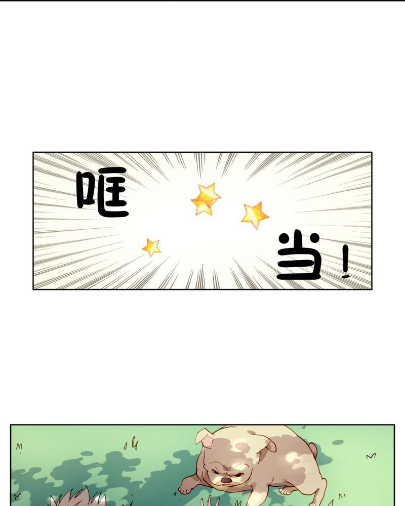 第5章：礼尚往来