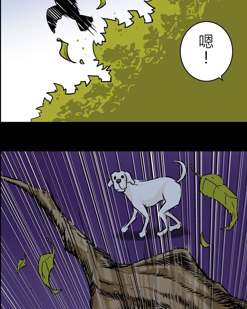 第20章：化煞咒#5