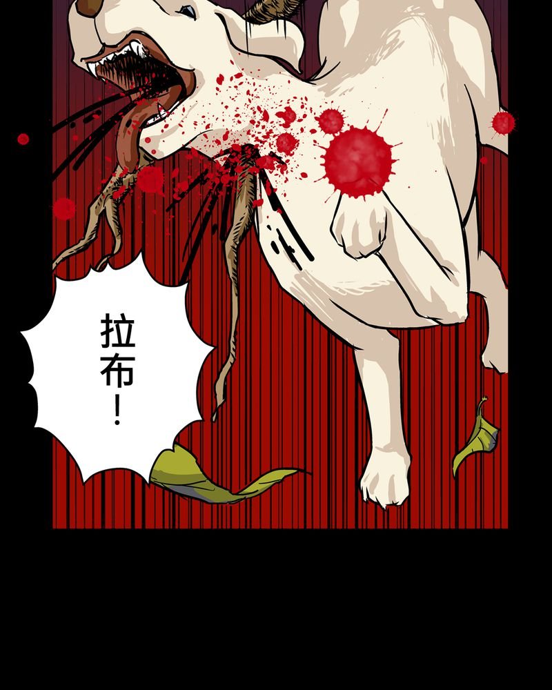 第20章：化煞咒#5