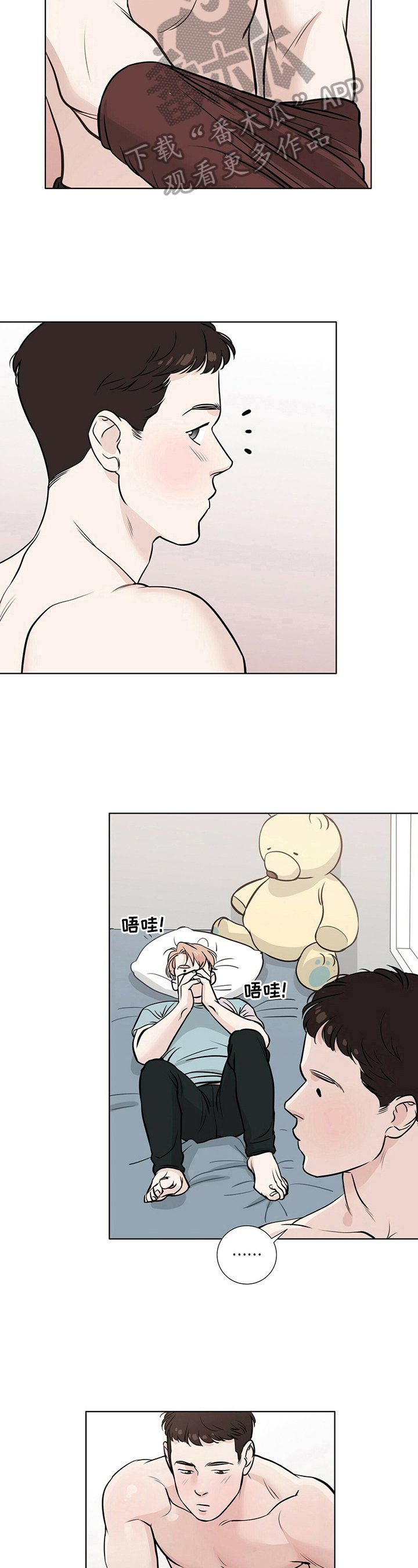 第19章：准备确认