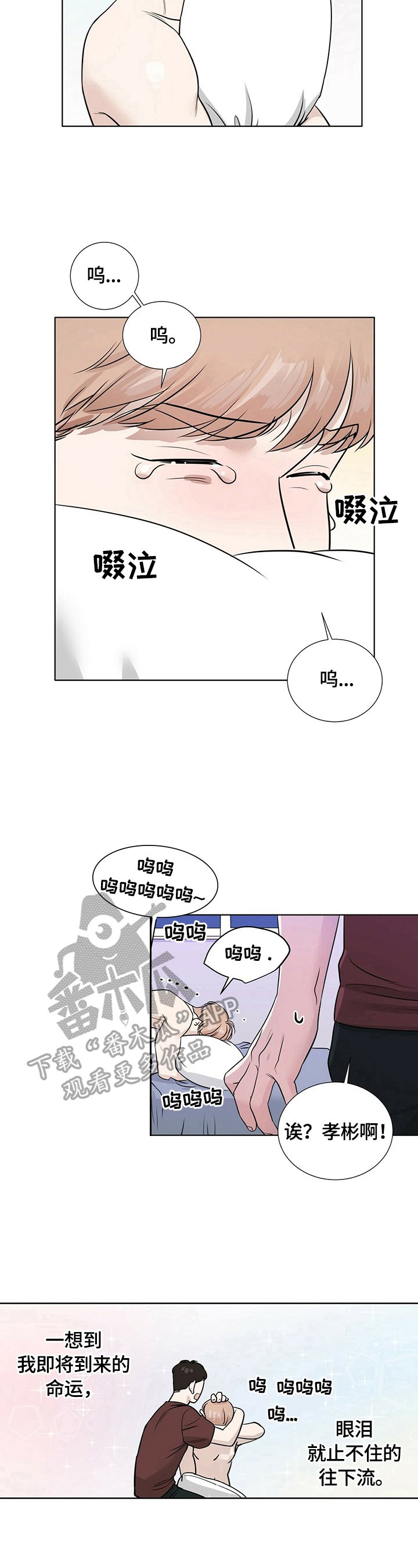 第22章：不同的一面