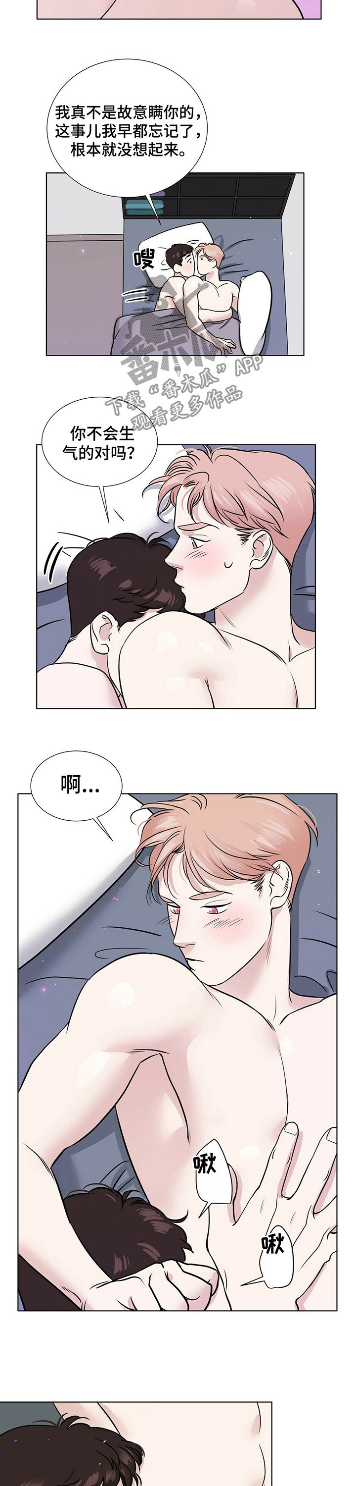 第32章：洋葱