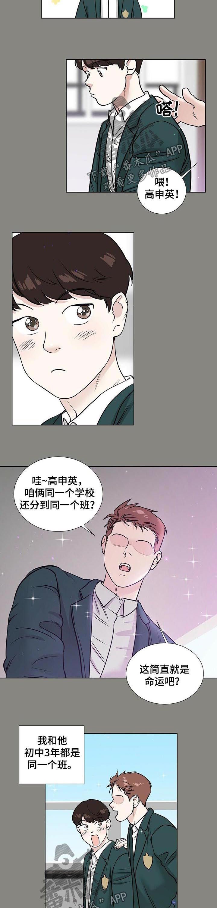 第44章：喜欢之情