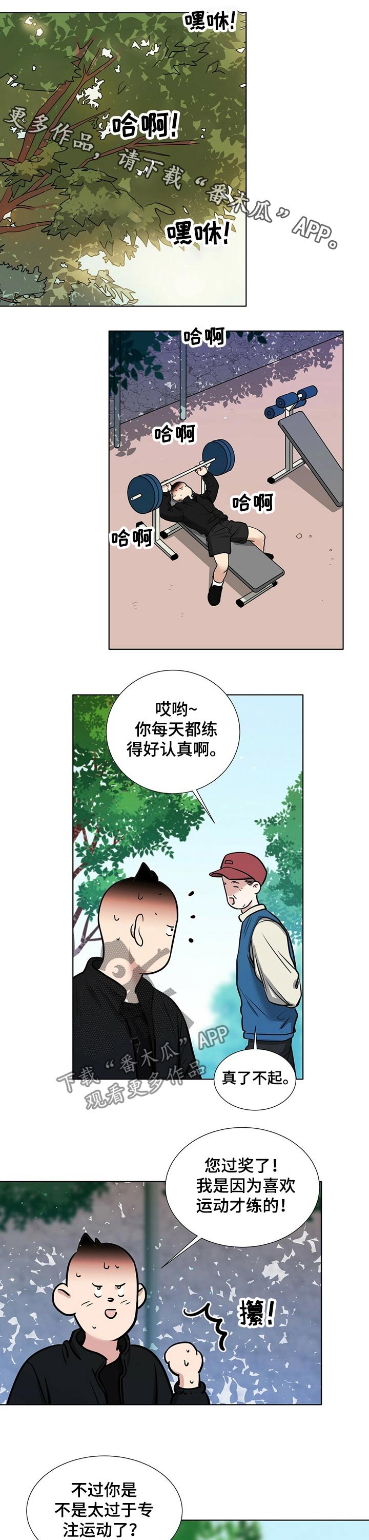 第65章：打篮球