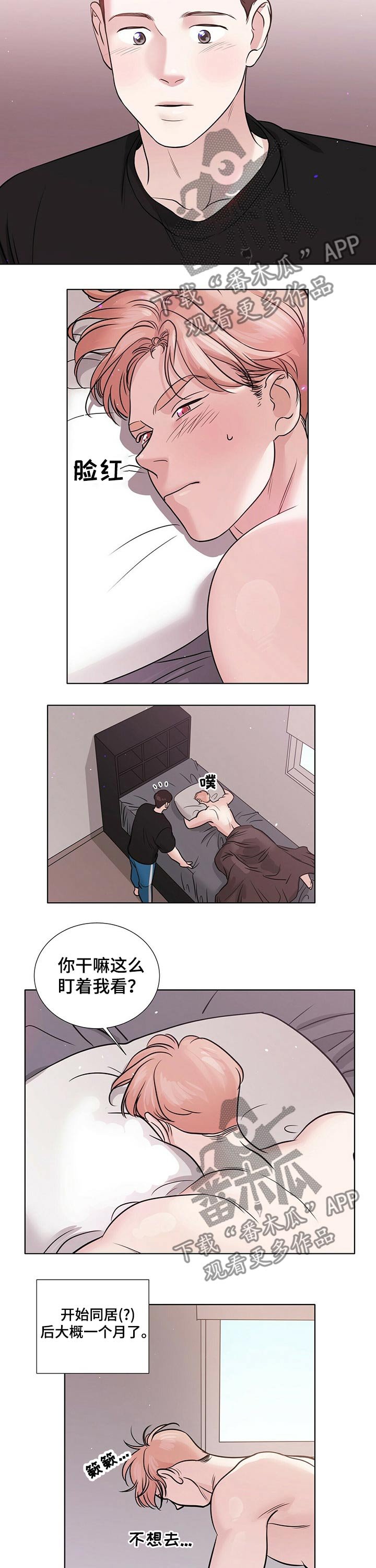 第71章：同居