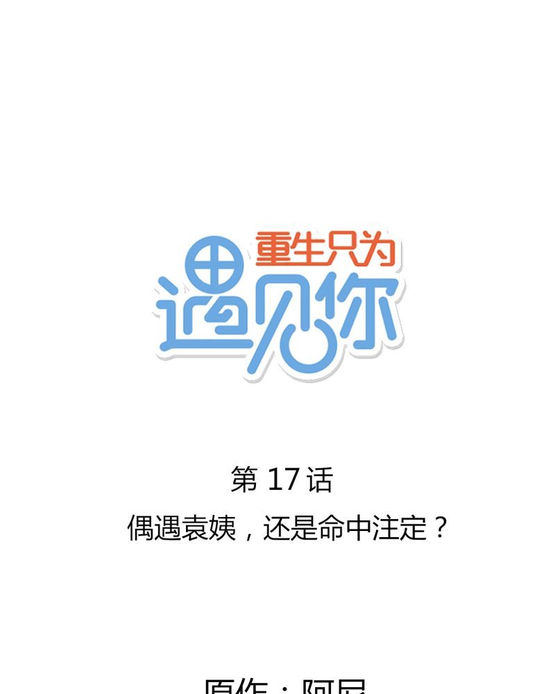 第17章：偶遇袁姨 还是命中注定？