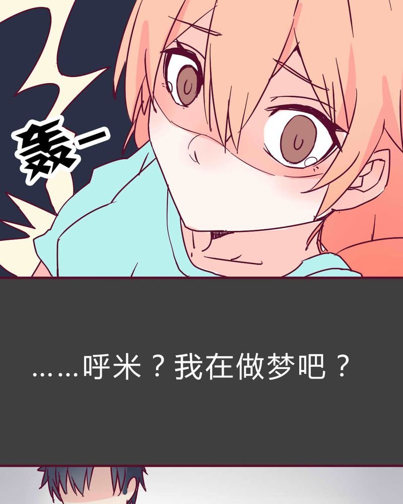第3章：这不是真的.......