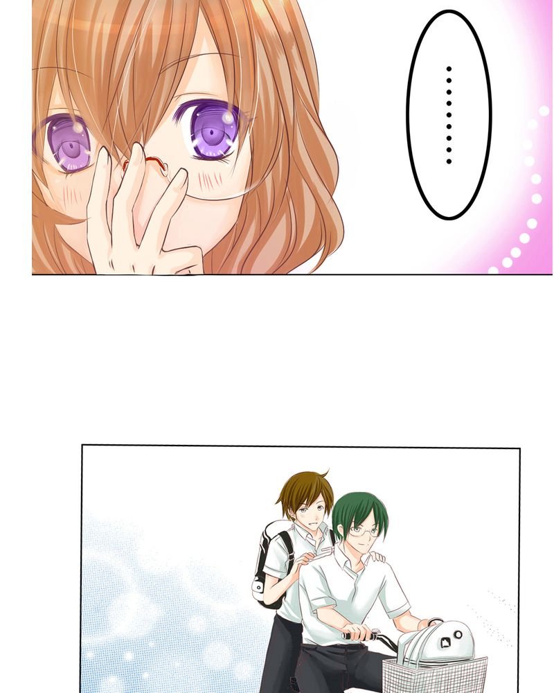 第1章：腐女的心思