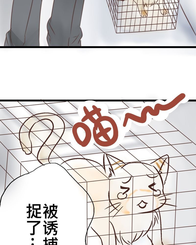第18章：名为【感情】的花蕾
